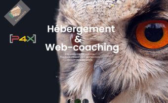 P4x Nom de domaine et hébergement web P4x Nom de domaine et hébergement web